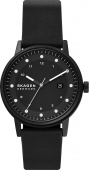 Наручные часы Skagen SALE60 SKW6740