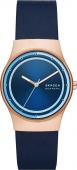 Наручные часы Skagen SALE40 SKW3021