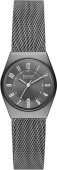 Наручные часы Skagen SALE60 SKW3039