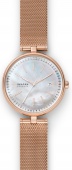 Наручные часы Skagen SALE60 SKW2980