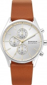 Наручные часы Skagen SKW6607