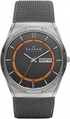 Наручные часы Skagen SKW6007