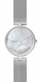 Наручные часы Skagen SALE40 SKW2979
