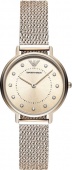 Наручные часы Emporio Armani  AR11129