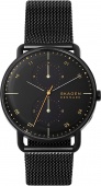Наручные часы Skagen SALE60 SKW6538