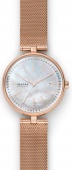 Наручные часы Skagen SALE30 SKW2980