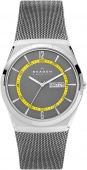 Наручные часы Skagen SALE60 SKW6789