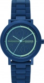 Наручные часы Skagen SALE70 SKW6770