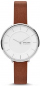 Наручные часы Skagen SALE40 SKW3015