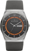Наручные часы Skagen SALE60 SKW6007
