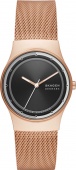 Наручные часы Skagen SALE60 SKW3023