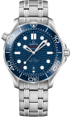 Наручные часы Omega SEAMASTER DIVER 300M CO-AXIAL  SS 21030422003001