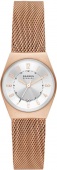 Наручные часы Skagen SALE40 SKW3035