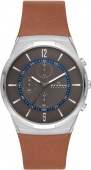 Наручные часы Skagen SALE60 SKW6805