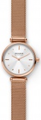 Наручные часы Skagen SALE30 SKW2955