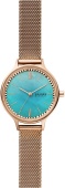 Наручные часы Skagen SALE60 SKW2977