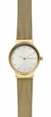 Наручные часы Skagen SALE40 SKW2717