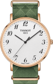 Наручные часы Tissot T-Classic Everytime SALE30 T1096103803200 T109.610.38.032.00