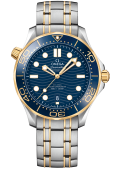 Наручные часы Omega SEAMASTER DIVER 300M CO-AXIAL  21020422003001