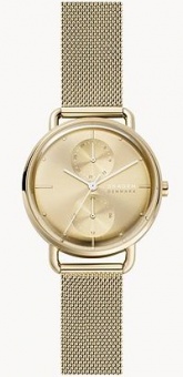 Наручные часы Skagen SALE40 SKW2986