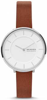 Наручные часы Skagen SALE40 SKW3015
