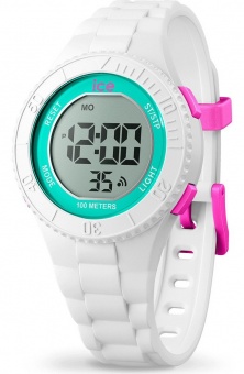 Наручные часы Ice Watch 021270