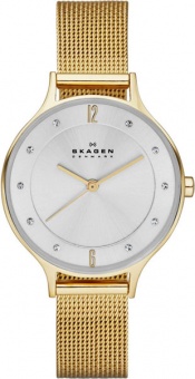 Наручные часы Skagen SALE40 SKW2150