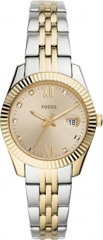 Наручные часы Fossil  ES4949