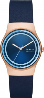 Наручные часы Skagen SALE40 SKW3021