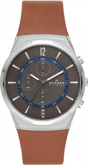 Наручные часы Skagen SALE40 SKW6805