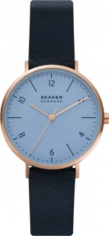 Наручные часы Skagen SALE20 SKW2972
