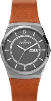 Наручные часы Skagen SALE40 SKW6786