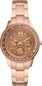 Наручные часы Fossil  ES5109