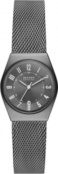 Наручные часы Skagen SALE60 SKW3039