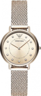 Наручные часы Emporio Armani  SALE30 SS AR11129