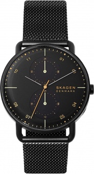 Наручные часы Skagen SALE40 SKW6538