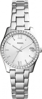 Наручные часы Fossil  SALE20 ES4317