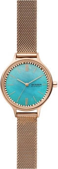 Наручные часы Skagen SALE40 SKW2977