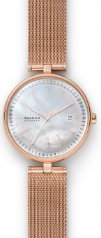 Наручные часы Skagen SALE30 SKW2980