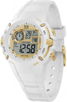 Наручные часы Ice Watch 023266