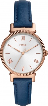 Наручные часы Fossil  SALE30 ES4862