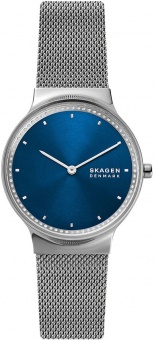 Наручные часы Skagen SALE40 SKW3028