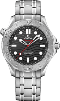 Наручные часы Omega SEAMASTER DIVER 300M CO-AXIAL  21030422001002