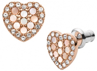 Украшение Серьги Fossil SALE70 JF03162791