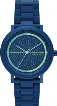 Наручные часы Skagen SALE70 SKW6770