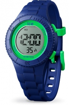 Наручные часы Ice Watch 021006