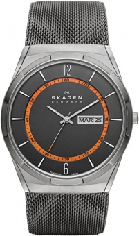 Наручные часы Skagen SALE60 SKW6007