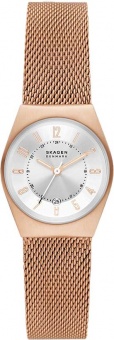 Наручные часы Skagen SALE40 SKW3035