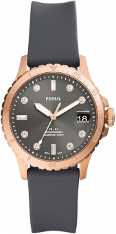 Наручные часы Fossil  ES5293