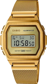 Наручные часы Casio  A1000MG-9E